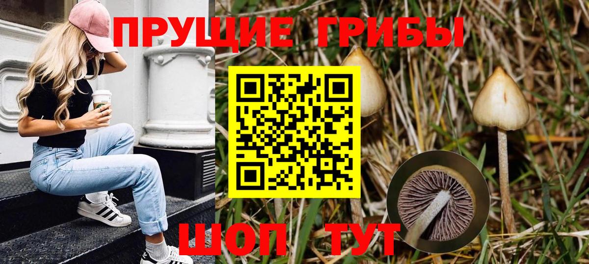 Галлюциногенные грибы GOLDEN TEACHER  Вход с VPN  Каменск-Шахтинский 